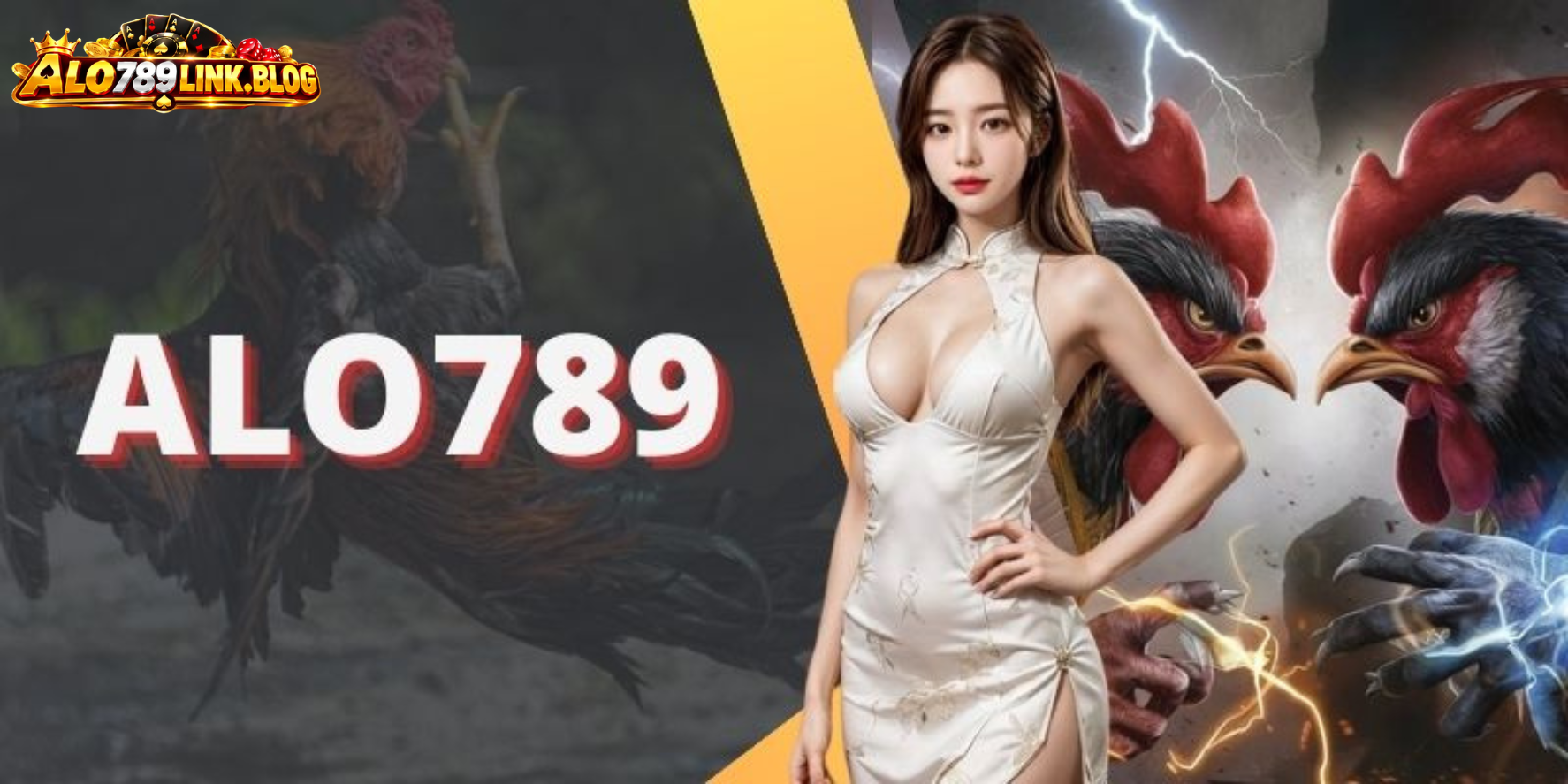 Luật đá gà Alo789 cơ bản cho người mới bắt đầu